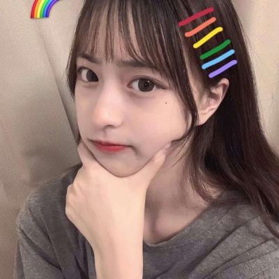 动物碰撞官方版